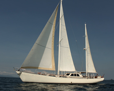 SY Meta IV